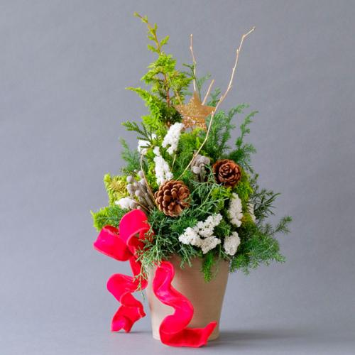 クリスマスツリー(生花)