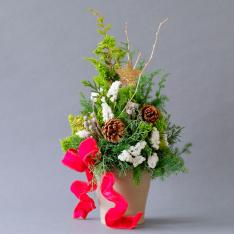 クリスマスツリー(生花)