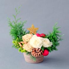 【クリスマス】クリスマスアレンジメント（生花）