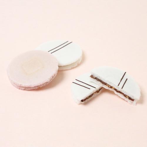 ＜Satomi Fujita by KAMEYA YOSHINAGA＞たねあわせ（いちご・ビター）