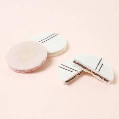 ＜Satomi Fujita by KAMEYA YOSHINAGA＞たねあわせ（いちご・ビター）