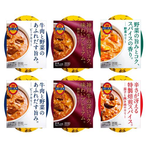 カリー元年 詰合せ6個セット