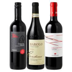 バローロ入り イタリアバラエティ赤3本セット