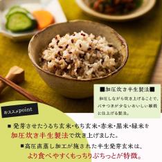 福袋 雑穀ごはんセット（十六雑穀ごはん・発芽玄米ごはん 各6食）