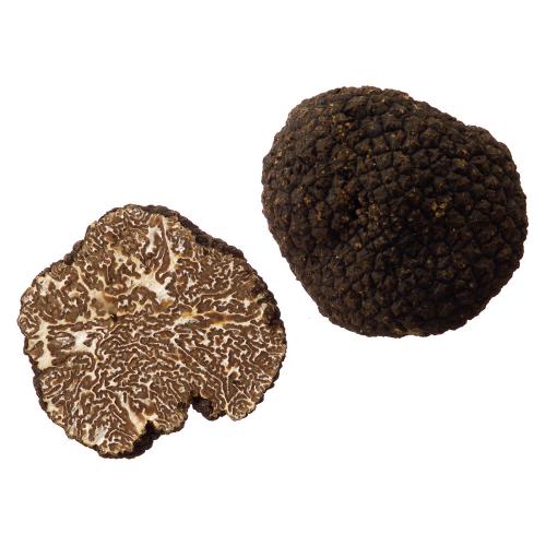 フランス産黒トリュフ（フレッシュ）