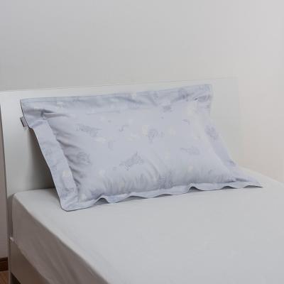 大判　ダウンピロー2個 + 専用ピロケース2枚　(768) 大判 ダウンピロー2個 + 専用ピロケース2枚 (768) Amazon｜昭和