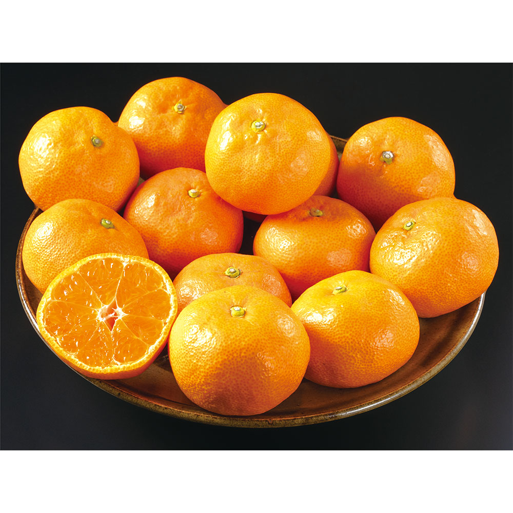 和歌山県産 HQ（ハイクオリティ）みかん