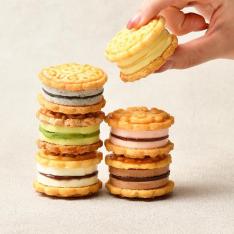ミニチーズケーキ月餅 6種6個入