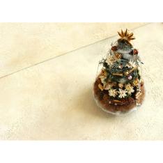 小さな可愛いクリスマスツリー