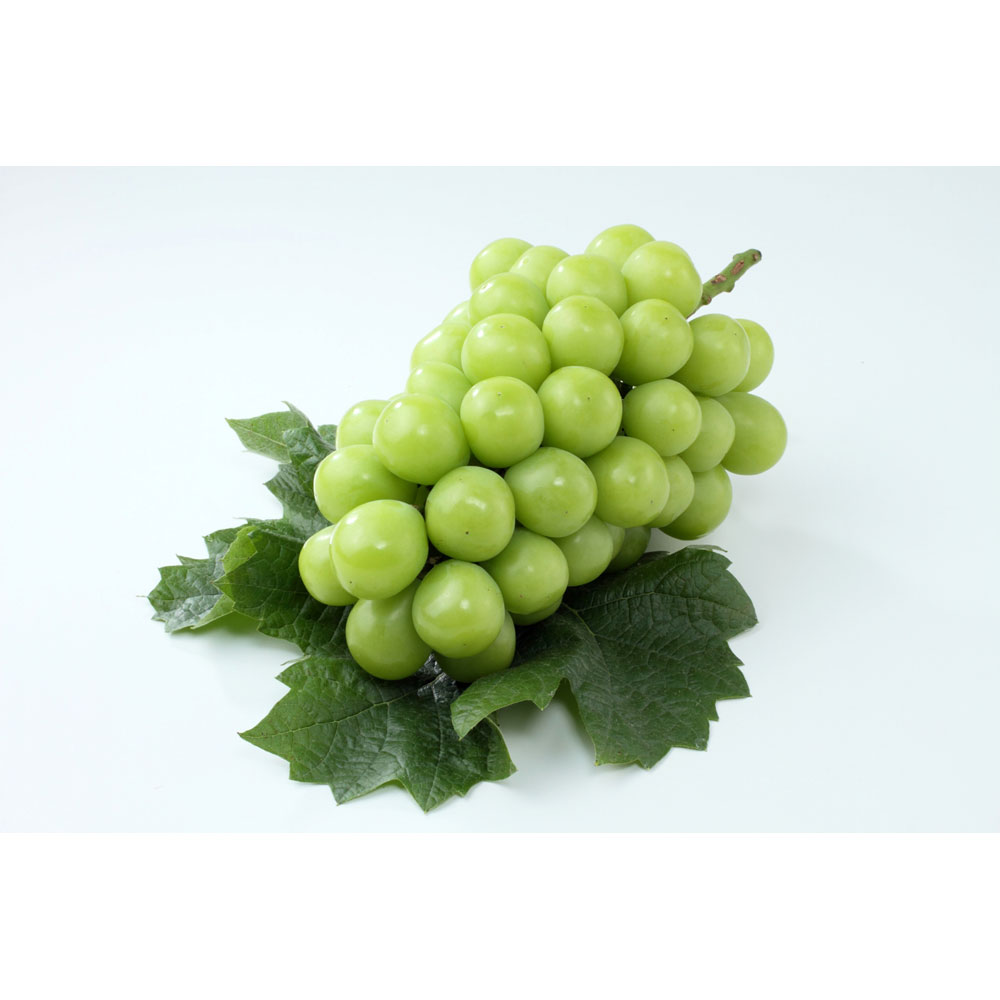 【父の日】山梨ハウスシャインマスカット1房