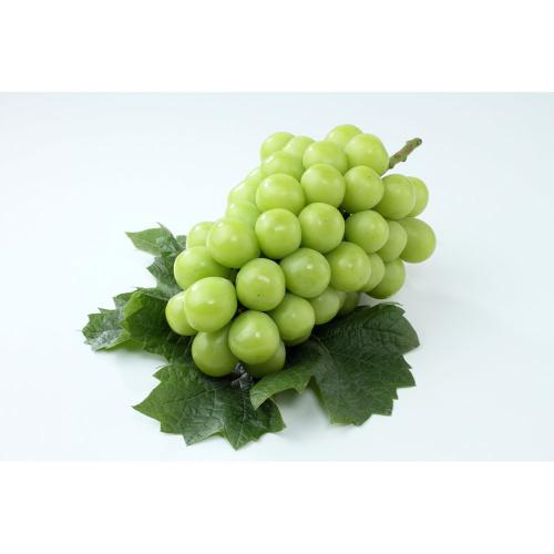 【父の日】山梨ハウスシャインマスカット1房