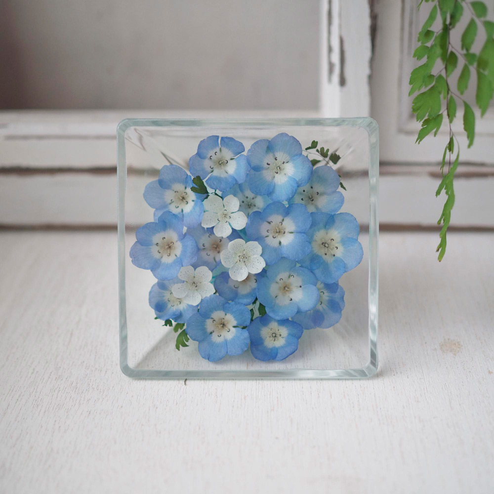 【母の日】ボトルフラワー　ネモフィラ（スクエアS）