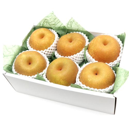 [和梨]新甘泉 6個セット