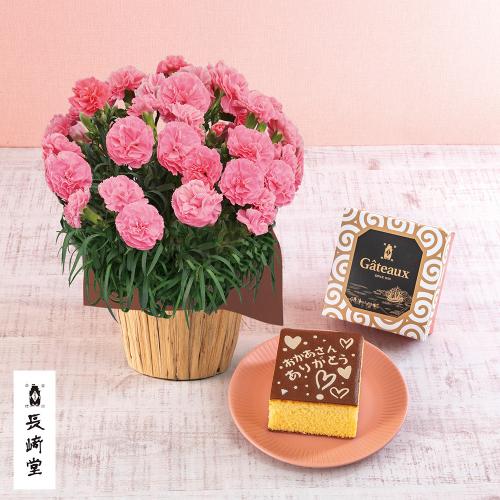 【母の日】生花　カーネーションピンク＆＜長崎堂＞絵柄入りカステーラ