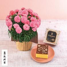【母の日】生花　カーネーションピンク＆＜長崎堂＞絵柄入りカステーラ