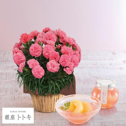 【母の日】生花　カーネーションピンク＆＜銀座トトキ監修＞山形県産白桃のゼリー