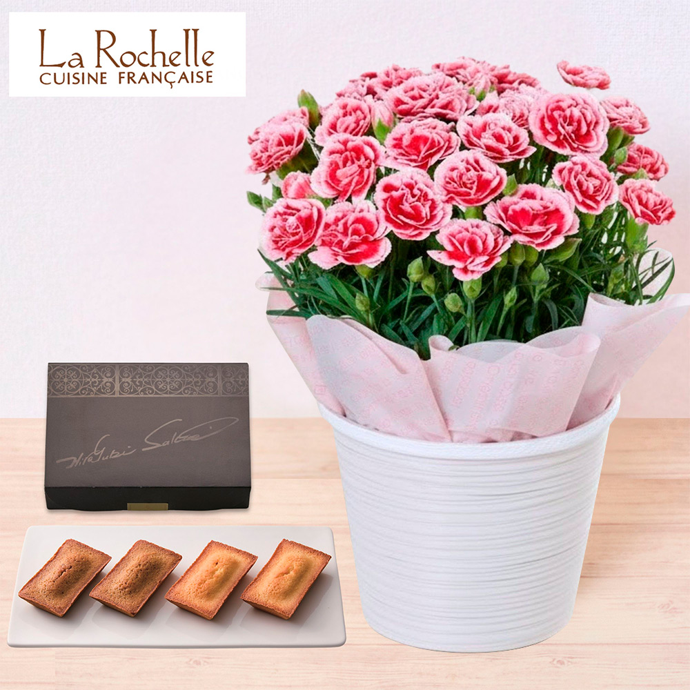 【母の日】生花カーネーションいちごホイップとラ・ロシェル　フィナンシェ