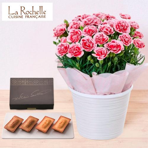 【母の日】生花カーネーションいちごホイップとラ・ロシェル　フィナンシェ