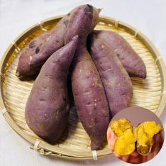 茨城県産 さつまいも(小サイズ)