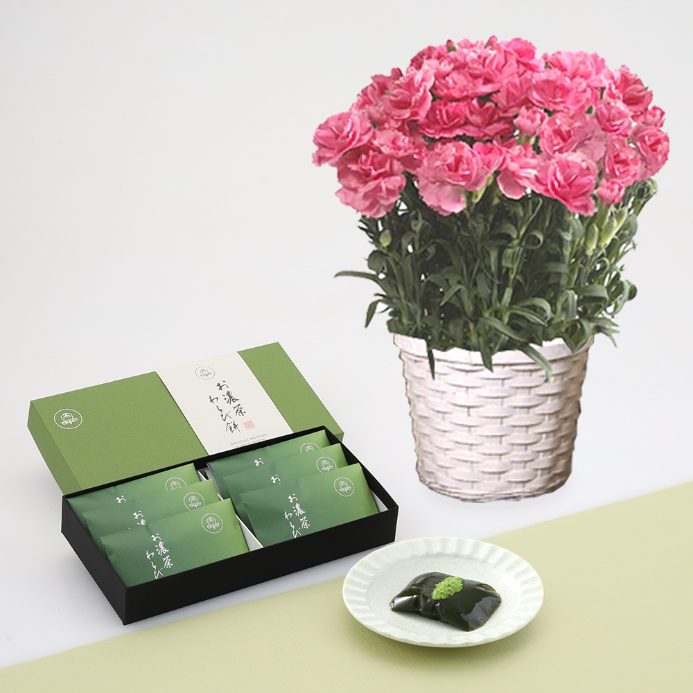 【母の日】カーネーション花鉢ピンク＆菓匠清閑院　お濃茶わらび餅6個入