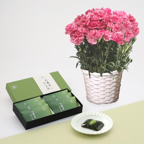 【母の日】カーネーション花鉢ピンク＆菓匠清閑院　お濃茶わらび餅6個入
