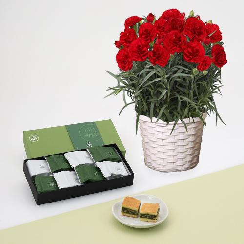【母の日】カーネーション花鉢赤＆菓匠清閑院　宇治抹茶エンガディナー茶み　8個入