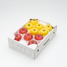 ＜東根農産センター＞福袋 山形県産・サンふじ＆シナノゴールド