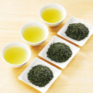 九州新茶紀行