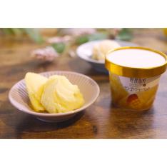 宮崎完熟マンゴーシャーベット