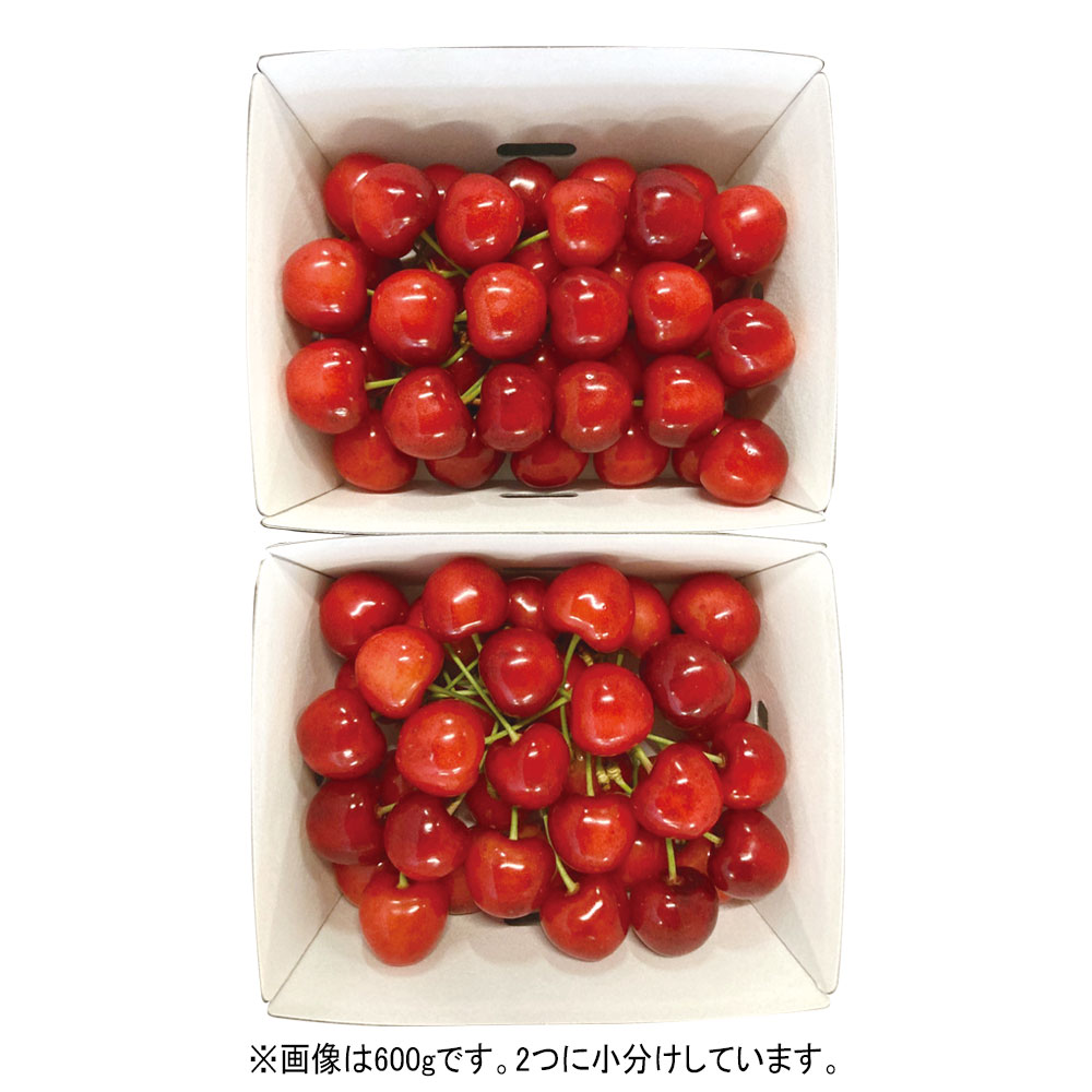紅秀峰 約1.2kg
