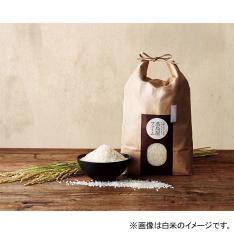 新潟県産<佐々木治巳さん>特別栽培コシヒカリ