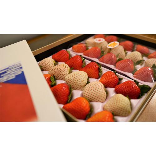 宮崎完熟「紅白苺」HOKUSAIGIFT