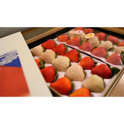 宮崎完熟「紅白苺」HOKUSAIGIFT