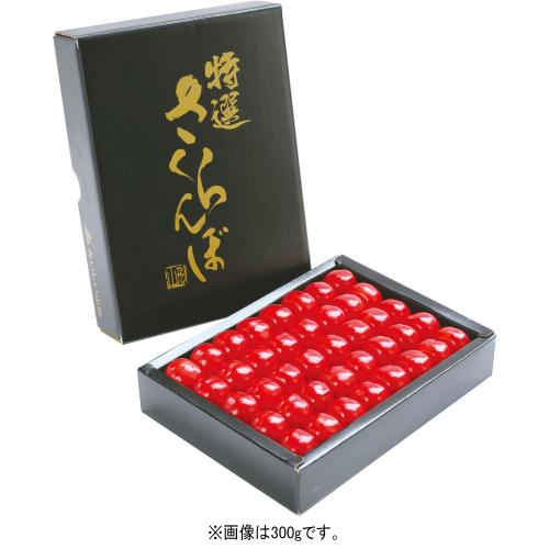 〈東根農産〉紅秀峰（化粧箱入）約500g