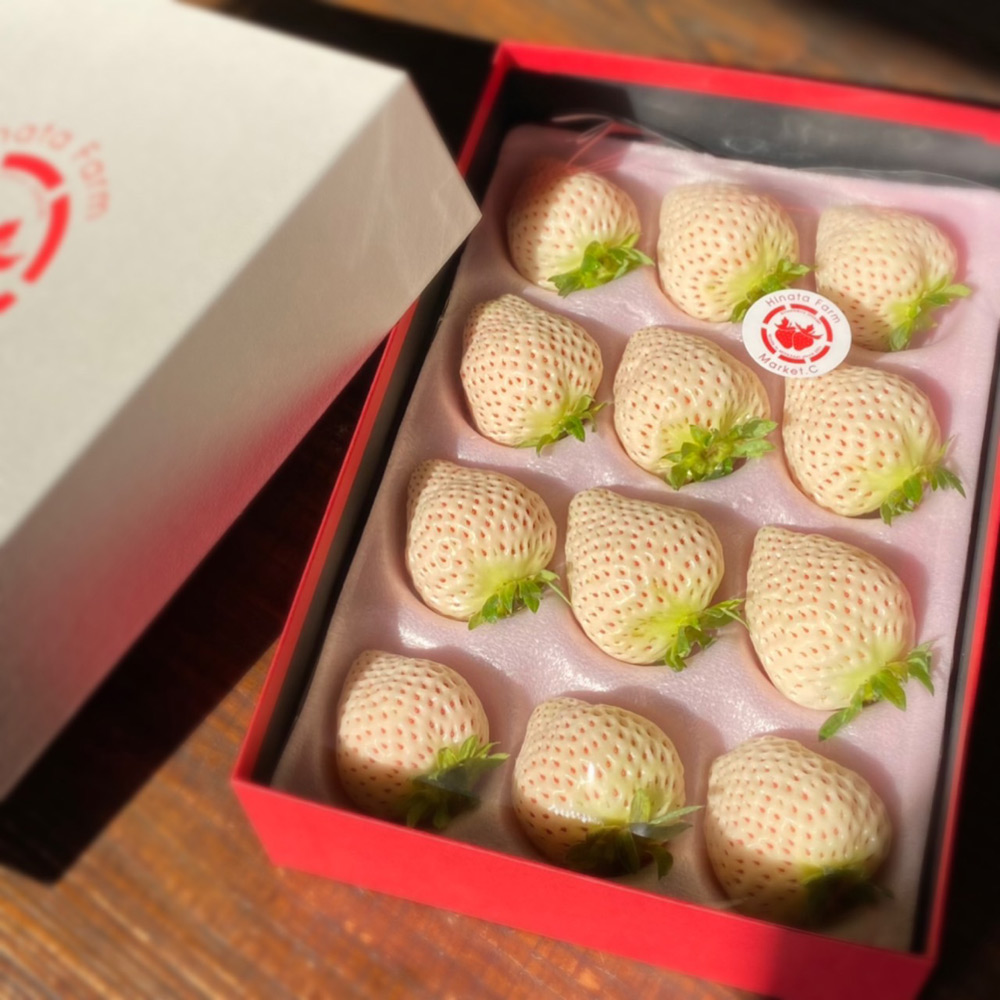 宮崎完熟「白苺」12