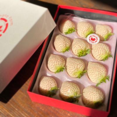 宮崎完熟「白苺」12