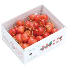 〈東根農産〉紅王