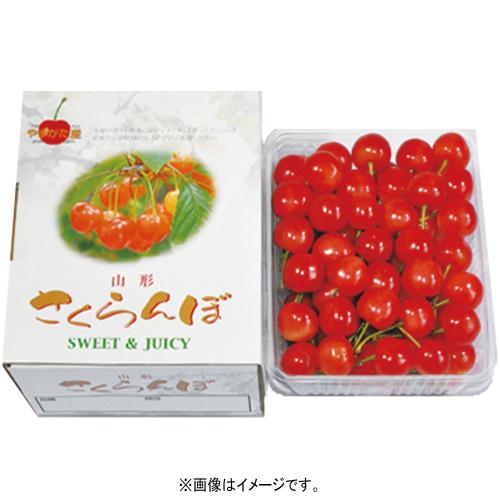 〈大桜会〉紅てまり 約500g