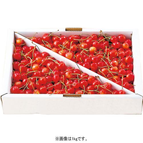 〈丸松生産者出荷組合〉◆佐藤錦（優・ML混合）