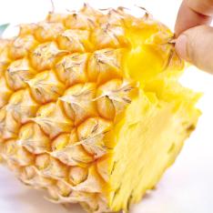 石垣島パイナップル