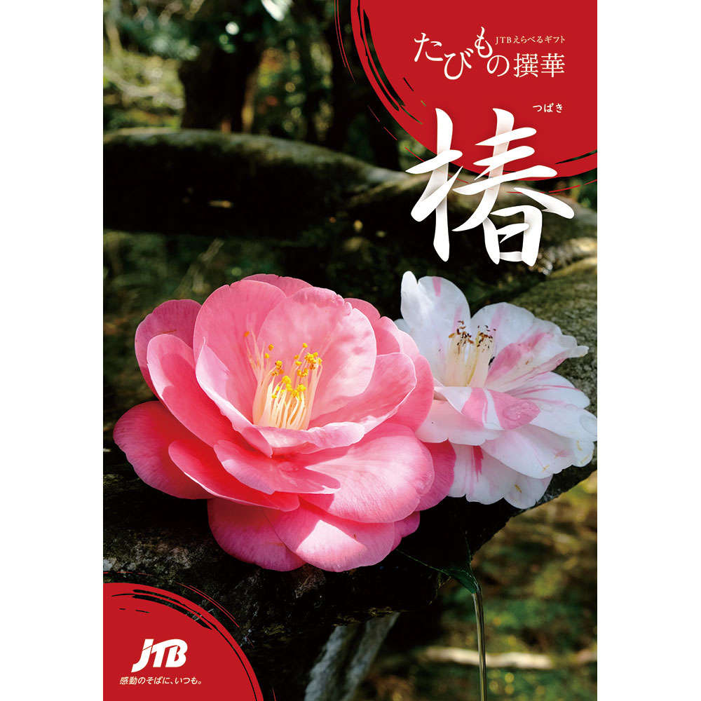 えらべるギフトたびもの撰華 椿コース