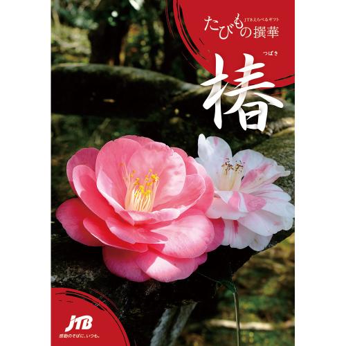 えらべるギフトたびもの撰華 椿コース