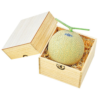 静岡県産 マスクメロン（中1）