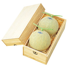 静岡県産マスクメロン（中2）