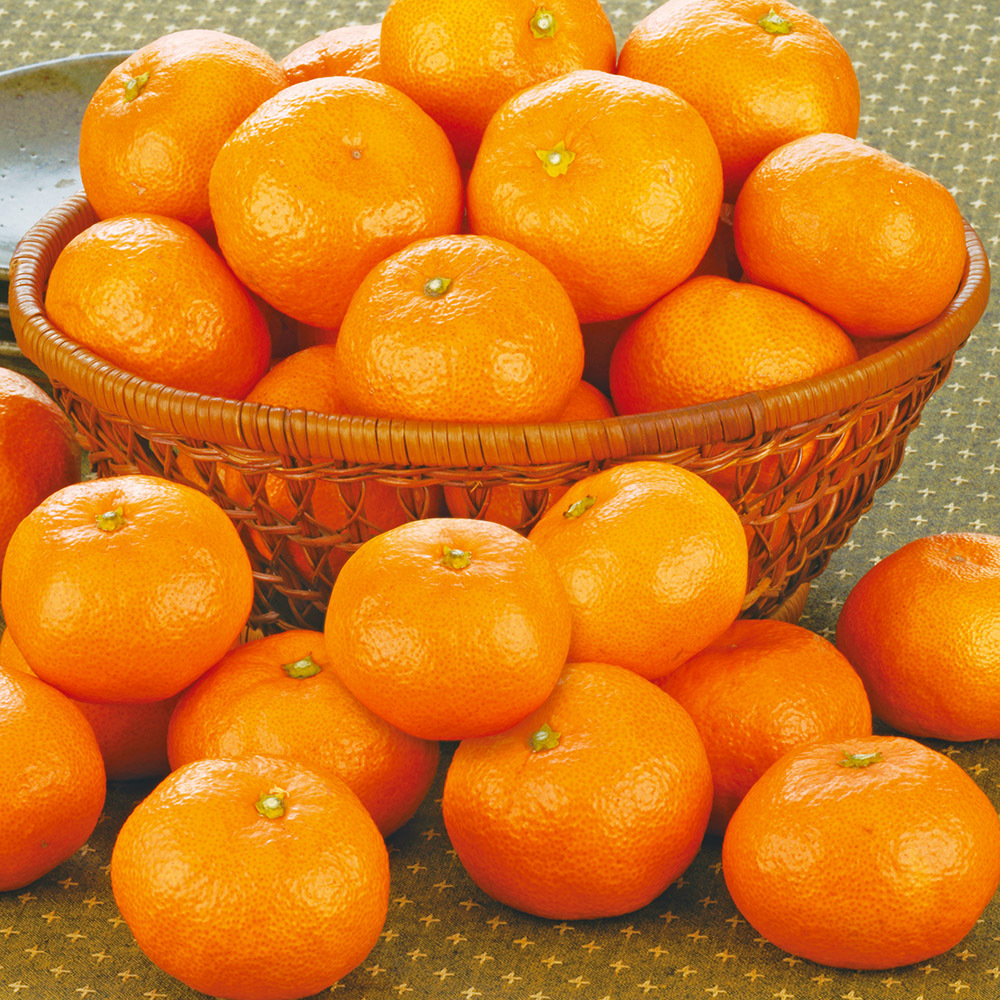 12月上旬から12月下旬までのお届け 長崎県産 味まるみかん 商品詳細 高島屋オンラインストア 12月上旬から12月下旬までのお届け 長崎県産 味まるみかん 商品詳細 高島屋オンラインストア