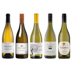 シャブリ入り 世界のシャルドネ5本セット