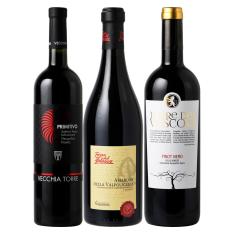 アマローネ入りイタリア赤ワインバラエティ3本セット