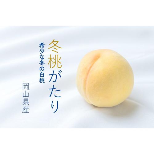 【最適な時期に収穫し、順次発送予定】JA全農おかやま 冬桃がたり