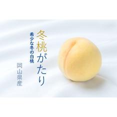 【最適な時期に収穫し、順次発送予定】JA全農おかやま 冬桃がたり