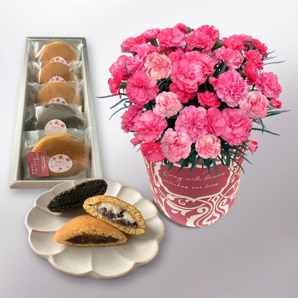 【母の日】カーネーション＆どら焼きアソートセット
